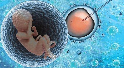 案例